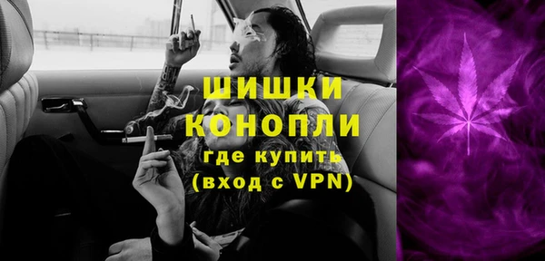 СК Новозыбков