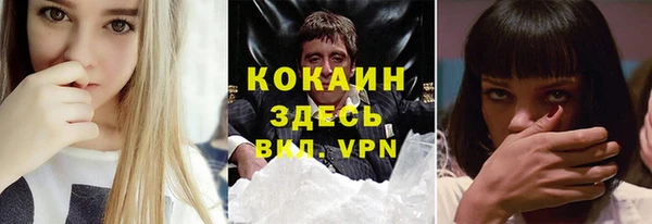 СК Новозыбков