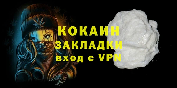 СК Новозыбков