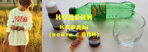 СК Новозыбков