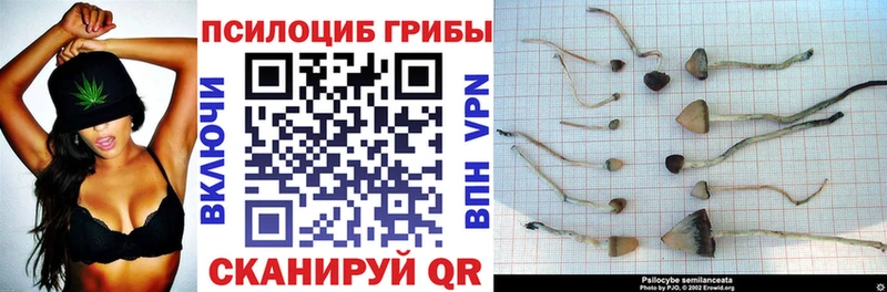 Псилоцибиновые грибы GOLDEN TEACHER Курган