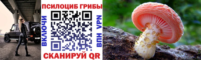 Галлюциногенные грибы MAGIC MUSHROOMS  Курган 