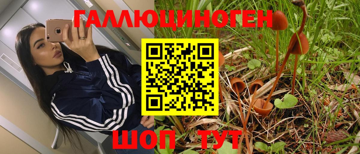Галлюциногенные грибы мухоморы Курган