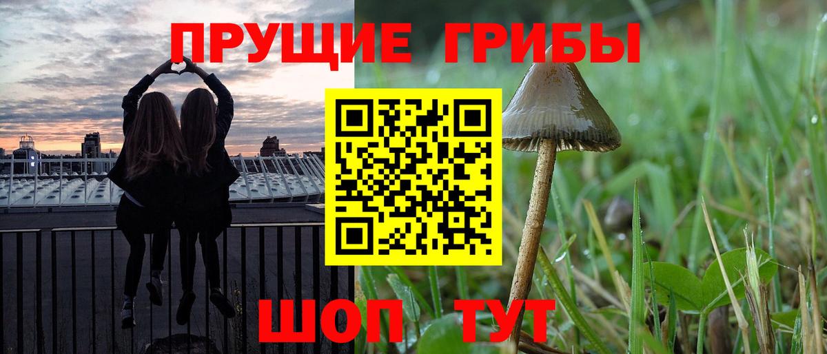 Псилоцибиновые грибы GOLDEN TEACHER Курган
