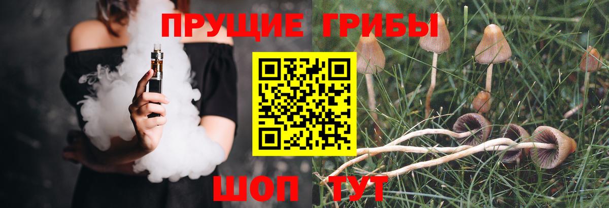 Курган  Галлюциногенные грибы мухоморы  Вход с VPN 